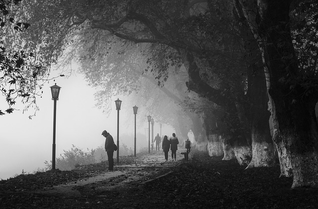 Black-and-white photo of a park with people walking on the road.