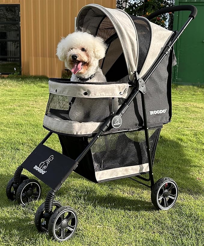 A poodle in a doggy pram.
